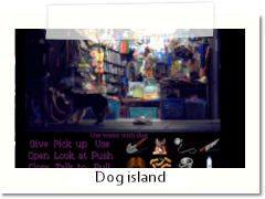 dog in the island