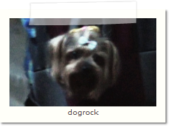 dogrock